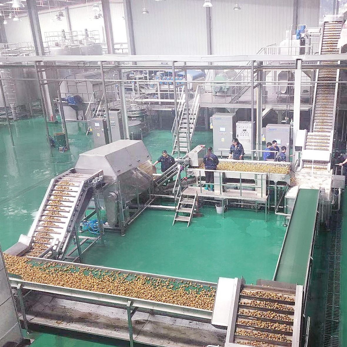 沙棘加工生产线 沙棘加工生产线