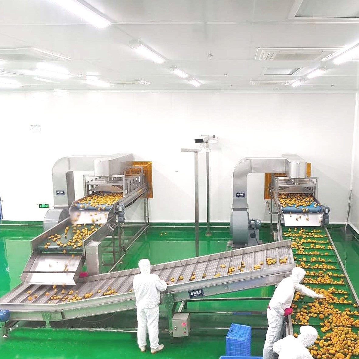 芒果加工线设备 芒果加工线设备
